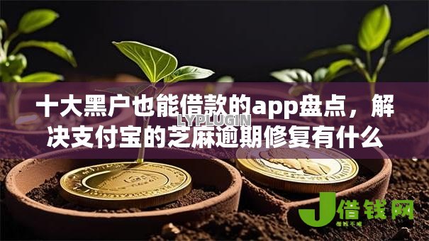 十大黑户也能借款的app盘点，解决支付宝的芝麻逾期修复有什么用的问题