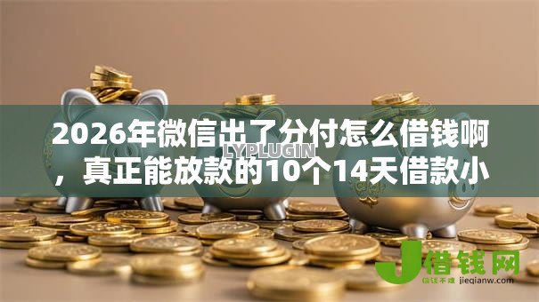 2026年微信出了分付怎么借钱啊,真正能放款的10个14天借款小额口子推荐 2026年微信出了分付怎么借钱啊,真正能放款的10个14天借款小额口子推荐