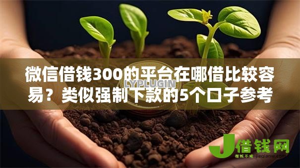 微信借钱300的平台在哪借比较容易？类似强制下款的5个口子参考