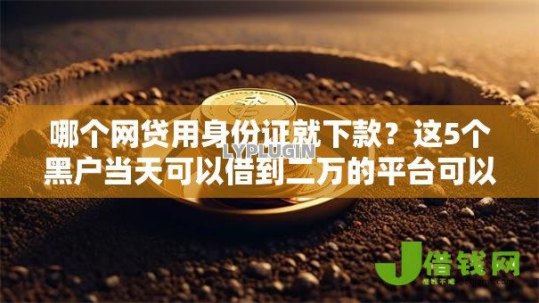 哪个网贷用身份证就下款？这5个黑户当天可以借到二万的平台可以试试