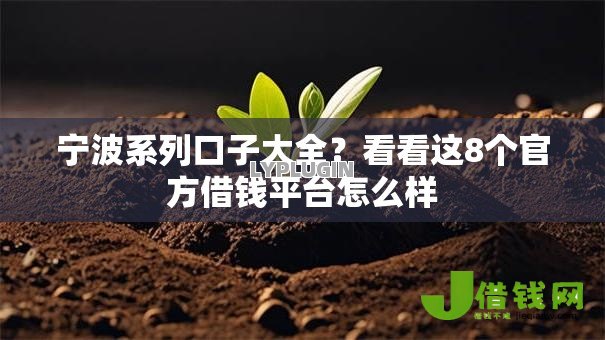宁波系列口子大全?看看这8个官方借钱平台怎么样 宁波系列口子大全?看看这8个官方借钱平台怎么样