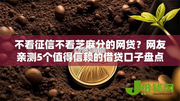 不看征信不看芝麻分的网贷？网友亲测5个值得信赖的借贷口子盘点