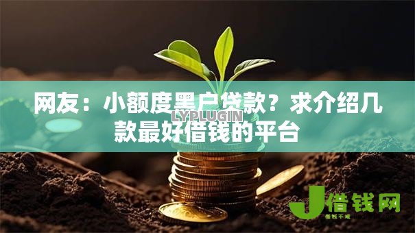 网友:小额度黑户贷款?求介绍几款最好借钱的平台 网友:小额度黑户贷款?求介绍几款最好借钱的平台