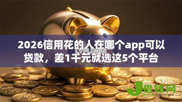 2026信用花的人在哪个app可以贷款，差1千元就选这5个平台