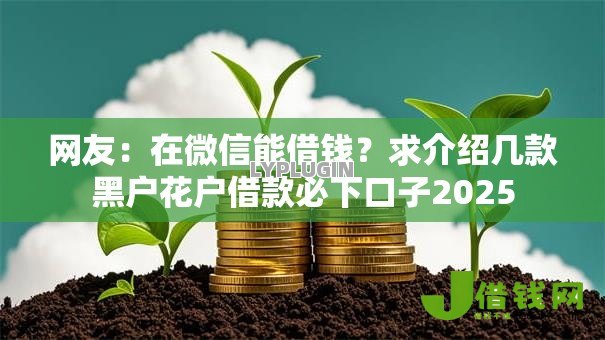 网友:在微信能借钱?求介绍几款黑户花户借款必下口子2025 网友:在微信能借钱?求介绍几款黑户花户借款必下口子2025