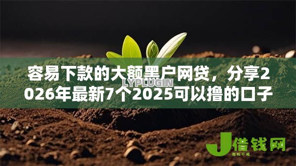 容易下款的大额黑户网贷,分享2026年最新7个2025可以撸的口子 容易下款的大额黑户网贷,分享2026年最新7个2025可以撸的口子