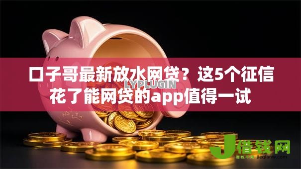 口子哥最新放水网贷？这5个征信花了能网贷的app值得一试