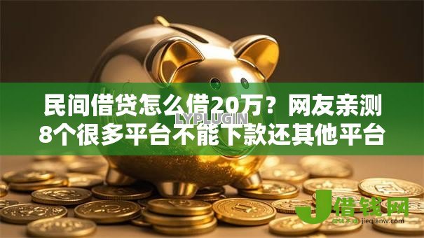 民间借贷怎么借20万？网友亲测8个很多平台不能下款还其他平台盘点