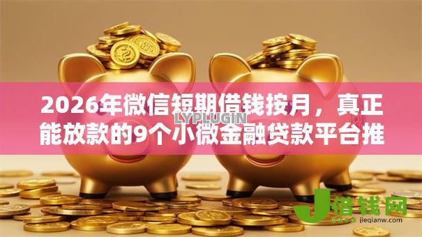 2026年微信短期借钱按月，真正能放款的9个小微金融贷款平台推荐