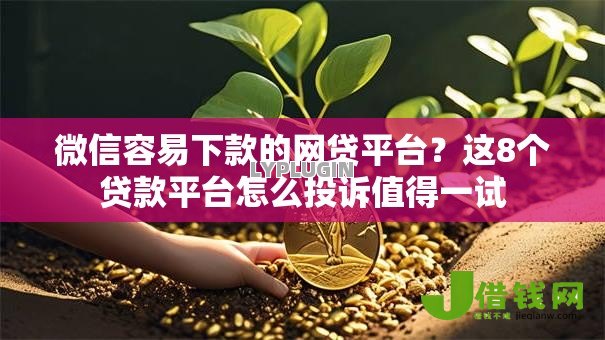 微信容易下款的网贷平台?这8个贷款平台怎么投诉值得一试 微信容易下款的网贷平台?这8个贷款平台怎么投诉值得一试