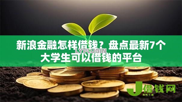 新浪金融怎样借钱？盘点最新7个大学生可以借钱的平台