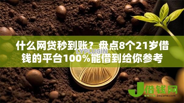什么网贷秒到账？盘点8个21岁借钱的平台100%能借到给你参考