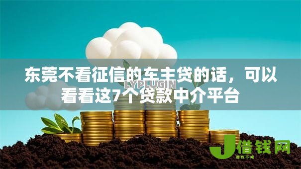 东莞不看征信的车主贷的话,可以看看这7个贷款中介平台 东莞不看征信的车主贷的话,可以看看这7个贷款中介平台