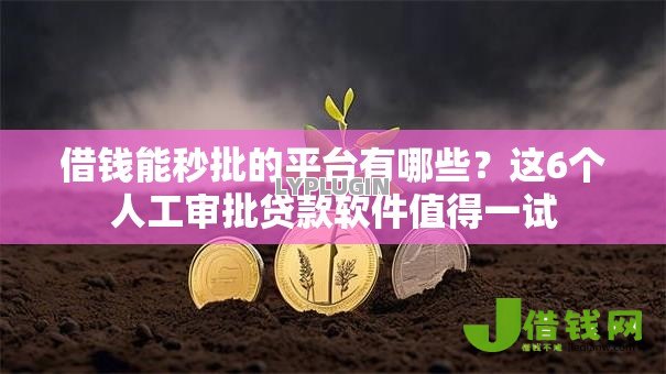 借钱能秒批的平台有哪些?这6个人工审批贷款软件值得一试 借钱能秒批的平台有哪些?这6个人工审批贷款软件值得一试