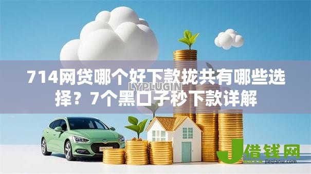 714网贷哪个好下款拢共有哪些选择？7个黑口子秒下款详解