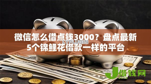 微信怎么借点钱3000？盘点最新5个锦鲤花借款一样的平台