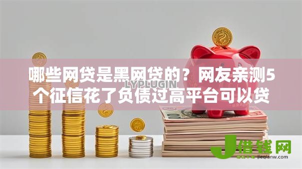 哪些网贷是黑网贷的？网友亲测5个征信花了负债过高平台可以贷款盘点