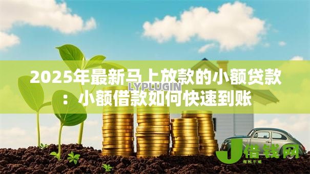 2025年最新马上放款的小额贷款：小额借款如何快速到账