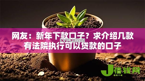网友：新年下款口子？求介绍几款有法院执行可以贷款的口子