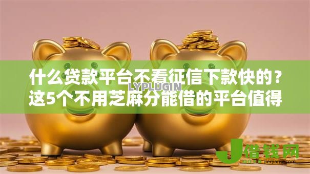 什么贷款平台不看征信下款快的?这5个不用芝麻分能借的平台值得一试 什么贷款平台不看征信下款快的?这5个不用芝麻分能借的平台值得一试