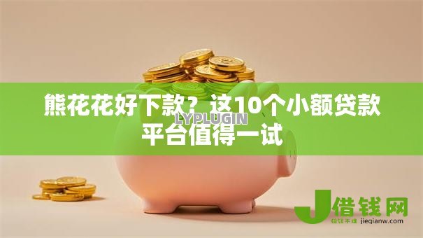 熊花花好下款？这10个小额贷款平台值得一试