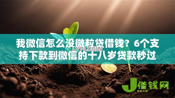 我微信怎么没微粒贷借钱?6个支持下款到微信的十八岁贷款秒过平台 我微信怎么没微粒贷借钱?6个支持下款到微信的十八岁贷款秒过平台
