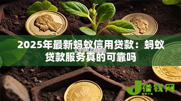 2025年最新蚂蚁信用贷款：蚂蚁贷款服务真的可靠吗