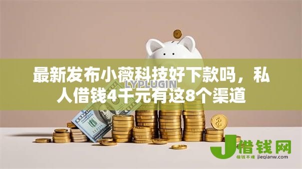 最新发布小薇科技好下款吗,私人借钱4千元有这8个渠道 最新发布小薇科技好下款吗,私人借钱4千元有这8个渠道