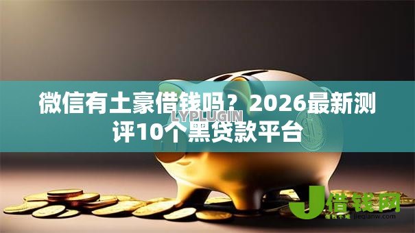 微信有土豪借钱吗？2026最新测评10个黑贷款平台