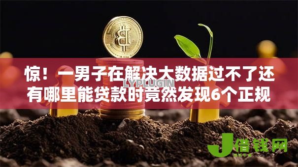 惊！一男子在解决大数据过不了还有哪里能贷款时竟然发现6个正规不查征信下款的平台，事后分享了出来