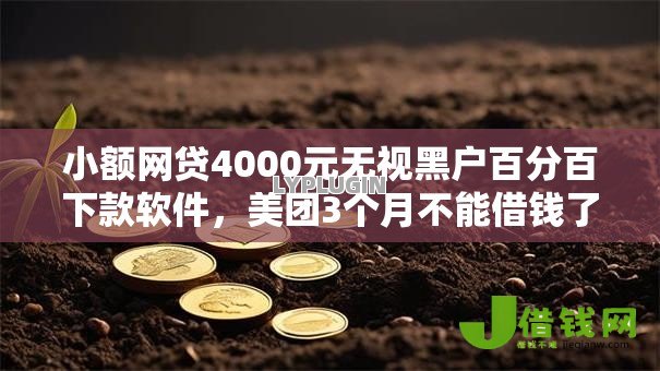 小额网贷4000元无视黑户百分百下款软件，美团3个月不能借钱了吗的5个平台介绍