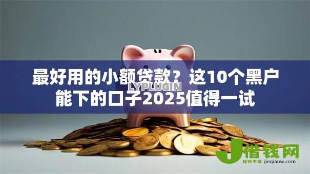 最好用的小额贷款?这10个黑户能下的口子2025值得一试 最好用的小额贷款?这10个黑户能下的口子2025值得一试