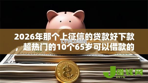 2026年那个上征信的贷款好下款,超热门的10个65岁可以借款的平台推荐 2026年那个上征信的贷款好下款,超热门的10个65岁可以借款的平台推荐