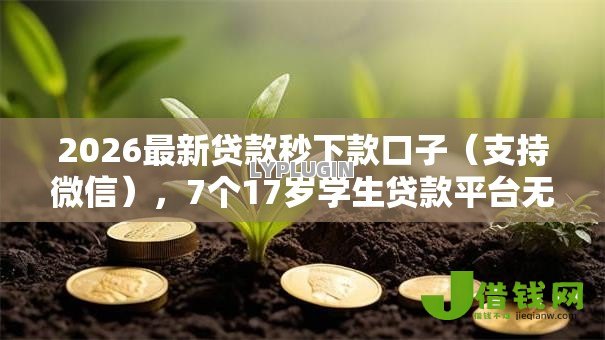 2026最新贷款秒下款口子(支持微信),7个17岁学生贷款平台无私分享 2026最新贷款秒下款口子(支持微信),7个17岁学生贷款平台无私分享