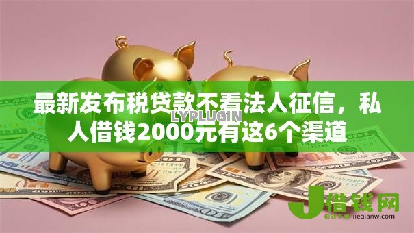 最新发布税贷款不看法人征信,私人借钱2000元有这6个渠道 最新发布税贷款不看法人征信,私人借钱2000元有这6个渠道