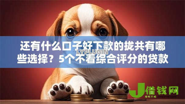 还有什么口子好下款的拢共有哪些选择?5个不看综合评分的贷款平台详解 还有什么口子好下款的拢共有哪些选择?5个不看综合评分的贷款平台详解