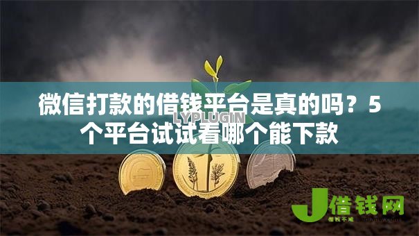 微信打款的借钱平台是真的吗？5个平台试试看哪个能下款