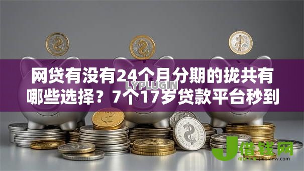 网贷有没有24个月分期的拢共有哪些选择？7个17岁贷款平台秒到账详解