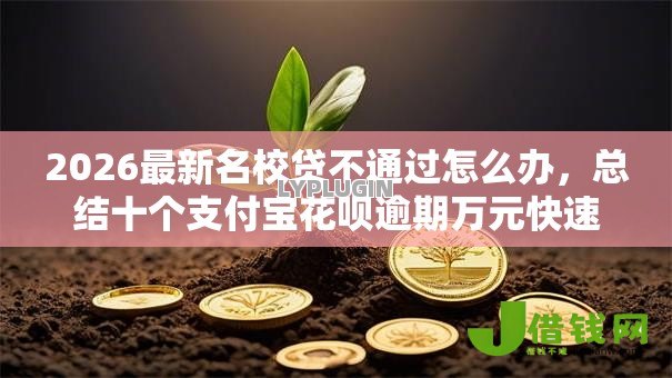 2026最新名校贷不通过怎么办,总结十个支付宝花呗逾期万元快速贷款口子! 2026最新名校贷不通过怎么办,总结十个支付宝花呗逾期万元快速贷款口子!