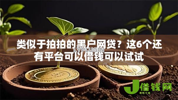 类似于拍拍的黑户网贷？这6个还有平台可以借钱可以试试