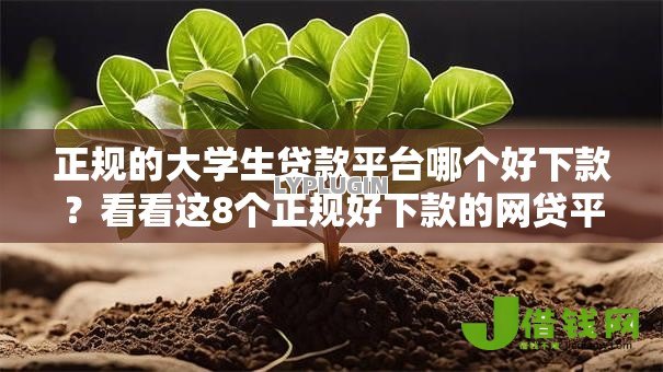 正规的大学生贷款平台哪个好下款？看看这8个正规好下款的网贷平台怎么样