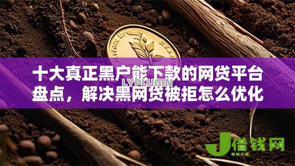 十大真正黑户能下款的网贷平台盘点,解决黑网贷被拒怎么优化的问题 十大真正黑户能下款的网贷平台盘点,解决黑网贷被拒怎么优化的问题