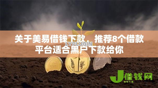 关于美易借钱下款，推荐8个借款平台适合黑户下款给你