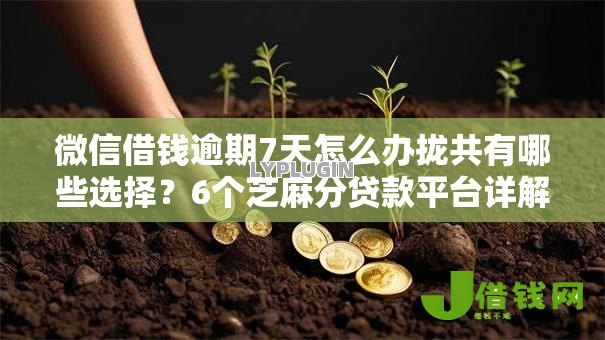 微信借钱逾期7天怎么办拢共有哪些选择?6个芝麻分贷款平台详解 微信借钱逾期7天怎么办拢共有哪些选择?6个芝麻分贷款平台详解