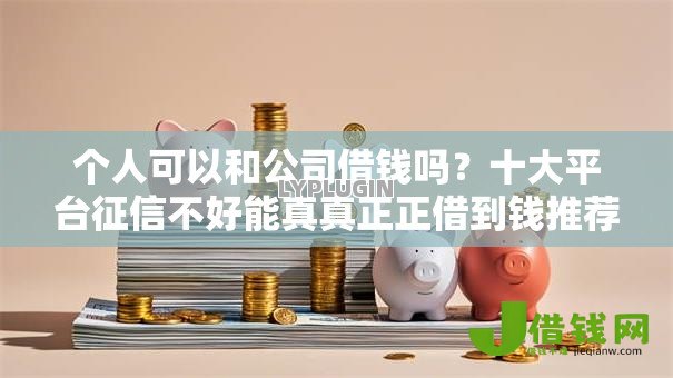 个人可以和公司借钱吗？十大平台征信不好能真真正正借到钱推荐
