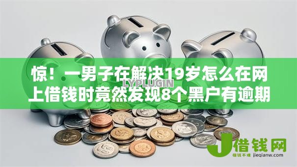 惊！一男子在解决19岁怎么在网上借钱时竟然发现8个黑户有逾期平台能放款，事后分享了出来