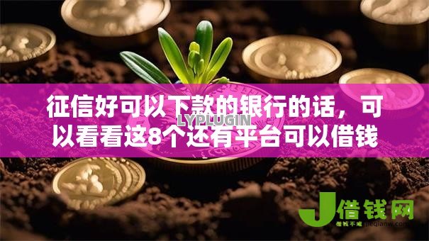 征信好可以下款的银行的话，可以看看这8个还有平台可以借钱