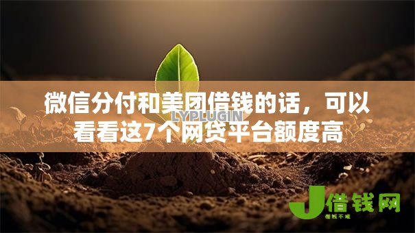 微信分付和美团借钱的话,可以看看这7个网贷平台额度高 微信分付和美团借钱的话,可以看看这7个网贷平台额度高