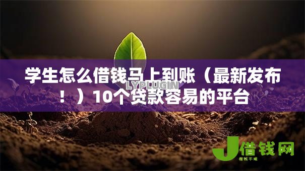 学生怎么借钱马上到账(最新发布!)10个贷款容易的平台 学生怎么借钱马上到账(最新发布!)10个贷款容易的平台