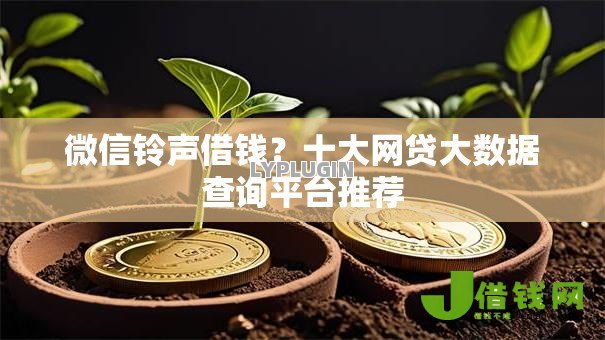微信铃声借钱？十大网贷大数据查询平台推荐